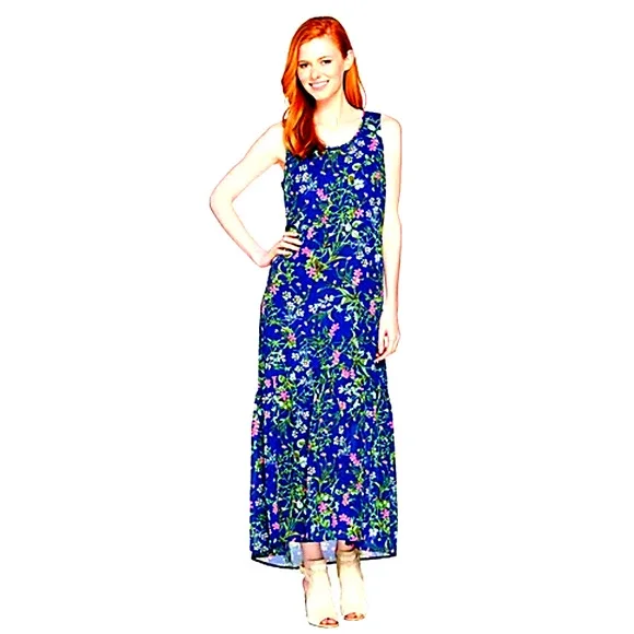 C. Wonder Dresses | Botanical Maxi Dress 24W Petite Chiffon Floral Lined C. Wonder Qvc 24wp 2xp | Color: Blue/Pink | Size: 24wp | Bargainfancy's